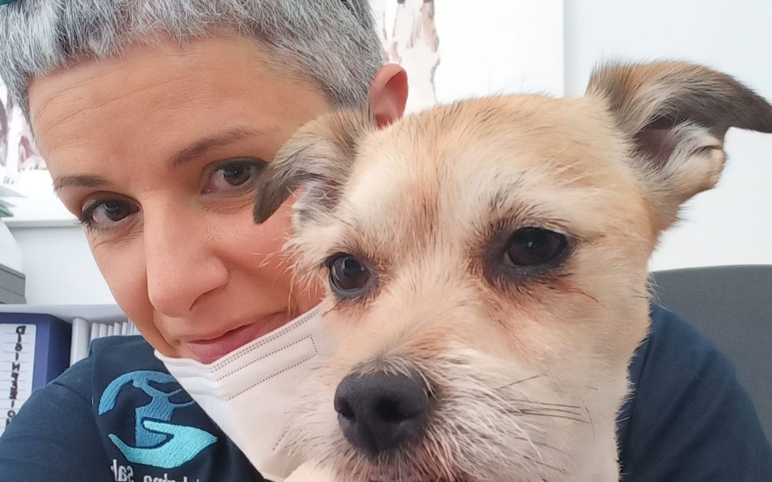 Scegliere il Cane Giusto: Il Nuovo Servizio di Consulenza con l’Educatrice Cinofila Sabrina